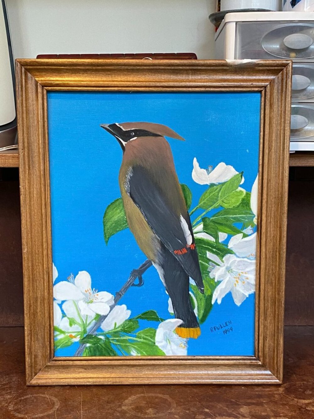 Vintage Original Framed Painting Cedar Waxwing Bird Thunder Bay Ontario Canada